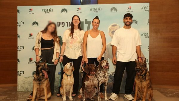 צילום: אור גפן